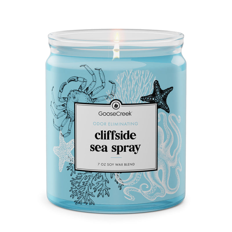 Cliffside Sea Spray Odor Eliminating 7oz Single Wick Candle V2