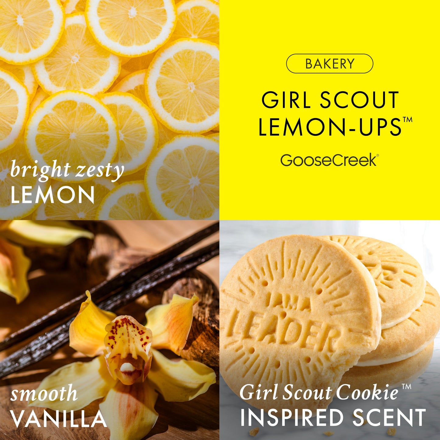 Girl Scout Lemon-Ups™ 3-Wick Candle
