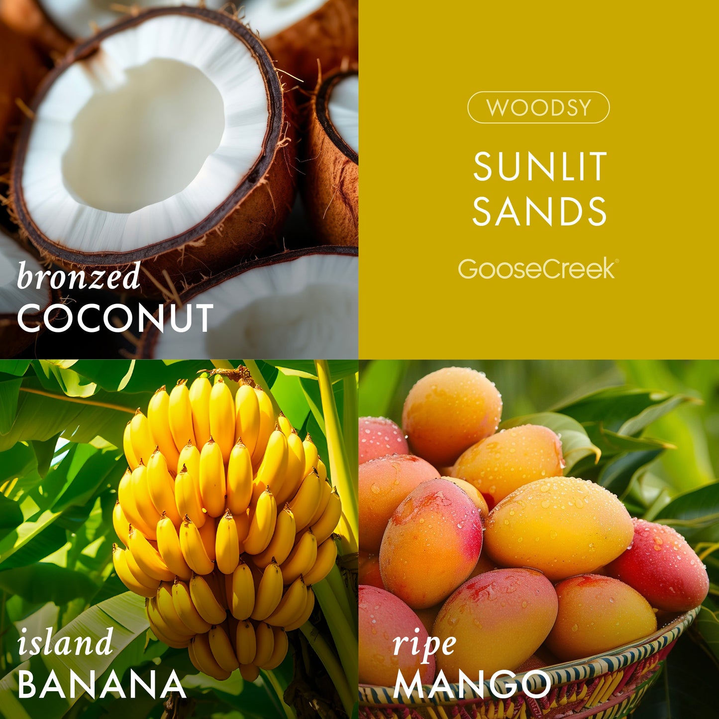Sunlit Sands 3-Wick Candle